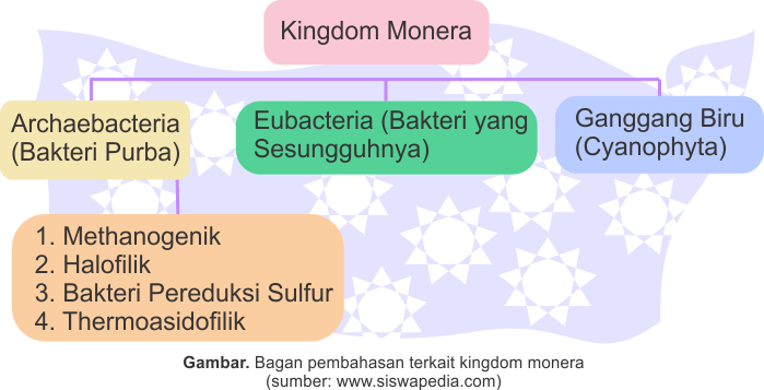 Apa perbedaan antara monera dengan kingdom yang lain